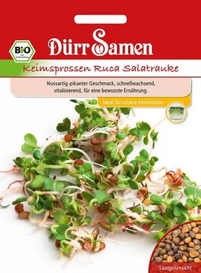BIO-Keimsprossen Ruca Salatrauke 75g - nussartig-pikante Sprossen