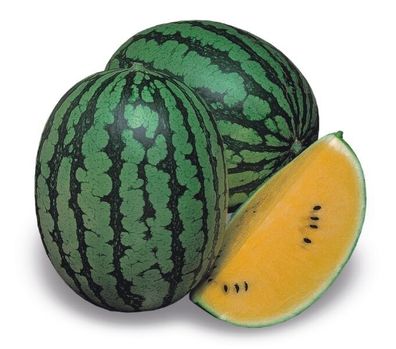 Melonen Wassermelone Gelbfleischige Luteo Samen