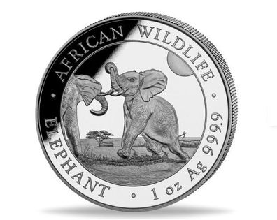 Silbermünze Somalia Elefant 2024 1 oz 999 Silber 100 Shilling African Wildlife