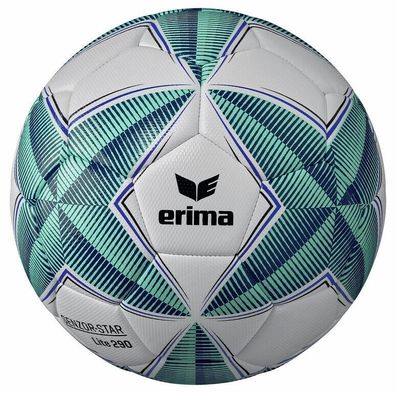 10er Ballpaket Erima Senzor-Star Trainingsball Grün - Blau Gr. 5 290 g