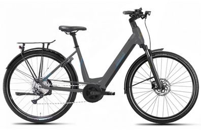 Green´s Elektro-Fahrrad Dorset F750 Bosch Performance i750Wh 12-Gang Deore 45 cm 2024