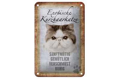 Blechschild Spruch 12x18 cm exotische Kurzhaarkatze Katze Deko Schild