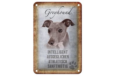 Blechschild Spruch 12x18 cm Greyhound Hund Geschenk Metall Deko Schild
