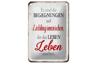Blechschild Spruch 12x18 cm Begegnungen Lieblingsmenschen Deko Schild