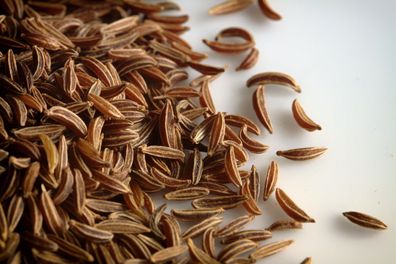 2000 Samen Echter Kümmel (Carum carvi). Gewürzpflanze, Kulturpflanze