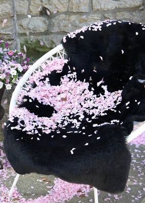 Lammfell Kurzhaar Schwarz