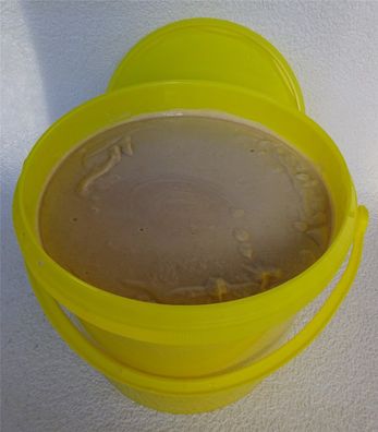 5 L Profi Handwaschpaste Handreiniger KFZ Handreinigung Handcleaner pumpbar 5l