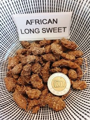 Afrikanische lange Erdmandel - African Long Sweet Chufa 5+ Knollen T 022