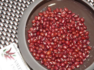 Augenbohnen - Cowpea Red - 50+ Samen - Ertragreiche RARITäT! H 012
