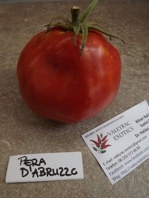 Birne der Abruzzen Tomate - Pera d´Abruzzo - 5+ Samen - Saatgut - Heirloom P 183