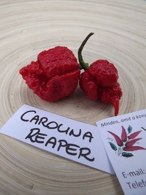 Chili Carolina Reaper 5+ Samen - Seeds - Graines - Saatgut - Weltrekord! Ch 001