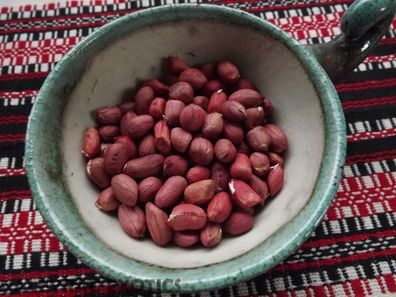 Erdnuss - Valencia Pink Peanut - 5+ Samen - Seeds - FEINE RARITäT! H 041
