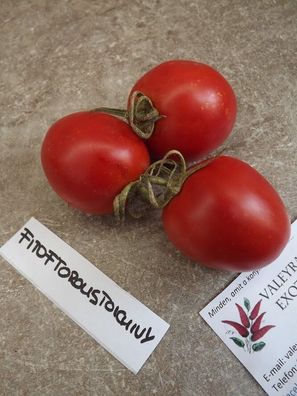 Fitoftoroustoichivy Tomate - 5+ Samen - Saatgut - Widerstandsfähig - P 184