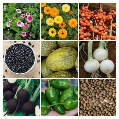 Gemüsegarten PAKET AUS Spanien - Sortiment - aus 9 Sorten 135+ Samen Seeds V 123