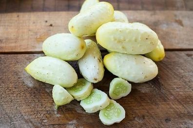 Gurke White Wonder - Cucumber 10+ Samen - Saatgut - Seeds - Graines Cu 032