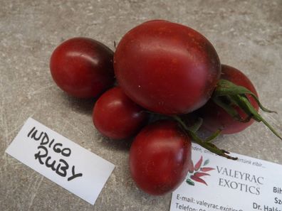 Indigo Ruby Tomate - 5+ Samen - Saatgut - Ertragreich - Blaue Datteltomate P 020
