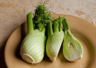 Knollenfenchel - Foeniculum vulgare - 20+ Samen - Knackfrisch und FEIN! K 001