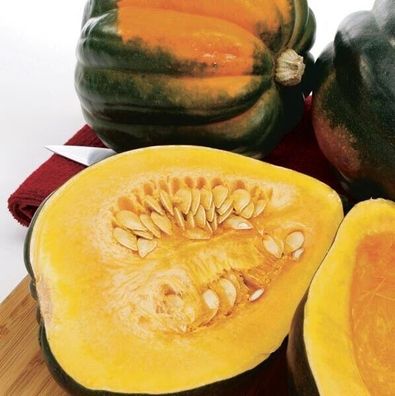 Kürbis Acorn Table King - Pumpkin - Squash - 5+ Samen - Seeds - Heirloom C 001