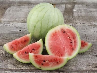 Navajo Winter Wassermelone - 20+ Samen - Saatgut - Seeds - Gemüsesamen Cl 003