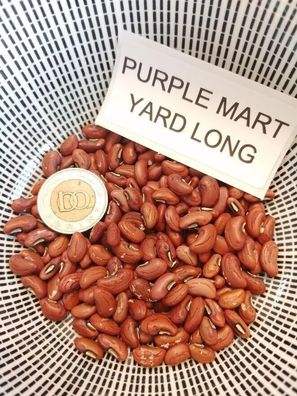 Purple Mart - Meterbohne - Spargelbohne - 5+ Samen - Seeds - Gemüsesamen H 078