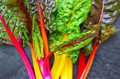 Regenbogen Mix Mangold - Rainbow mix swiss chard - 25+ Samen - FARBIG! L 059