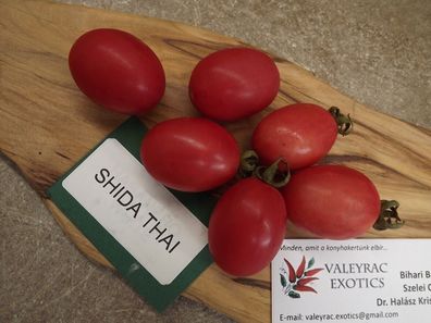 Sida Thai Tomate - Tomato 5+ Samen - Saatgut - Seeds - Gemüsesamen P 302