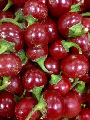 Sweet Cherry Paprika 10+ Samen - Saatgut - Seeds - Chili - Leckerbissen! Ca 020