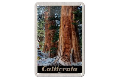 Blechschild Reise 12x18 cm California Amerika Natur Wald Bäume Schild