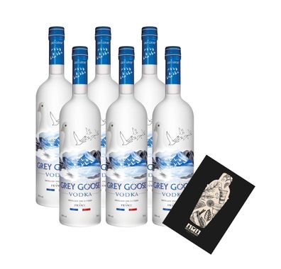 Grey Goose 6er Set Vodka 6x 0,7l (40% Vol) Distilled in France- [Enthält Sulfit
