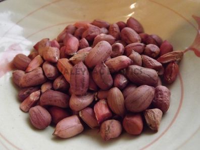 Tennessee Red Erdnuss - Peanut - 5+ Samen - Graines - FEINE RARITäT! H 057