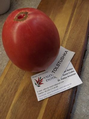 Tolstjushka Tomate aus Russland - Tomato 5+ Samen - Saatgut - Seeds P 294