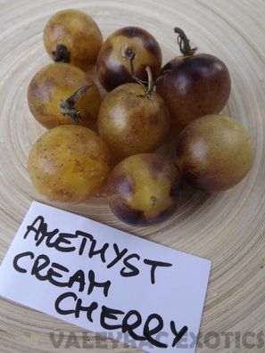 Tomate Amethyst Cream Cherry 5+ Samen - Saatgut - Wunderschöne RARITäT! P 010