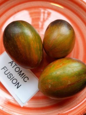 Tomate Atomic Fusion - Tomato 5+ Samen - Seeds - Graines - Saatgut P 346