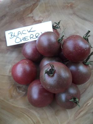 Tomate Black Cherry 5+ Samen - Seeds - Graines - SÜß und Ertragreich! P 038