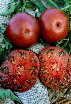Tomate Black Seaman - Schwarze Tomate 5+ Samen - Seeds- Graines - RIESEN! P 048