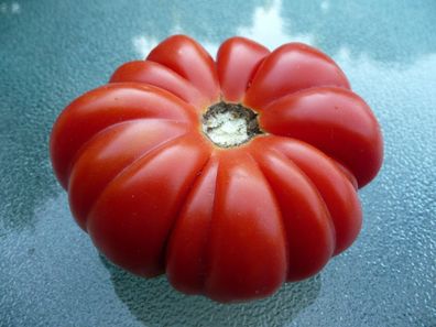 Tomate Costoluto Genovese 5+ Samen - Seeds - Graines - SAFTIG und FEIN! P 094