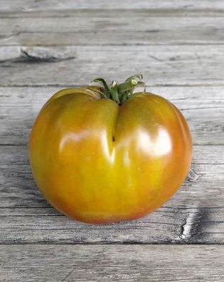 Tomate Grandma?s Dwarf Chocolate Stabtomate aus den USA 5+ Samen - Seeds P 410