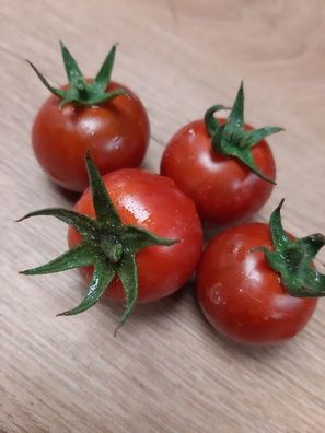 Tomate Lost Marbles 10+ Samen Seeds ertragreiche Kirschtomate aus den USA P 452