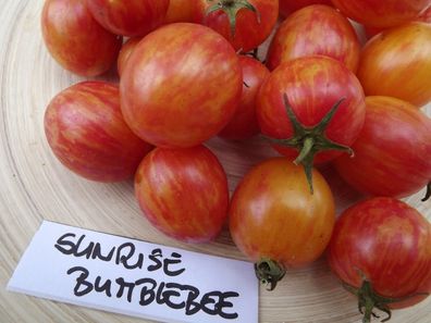Tomate Sunrise Bumblebee - 5+ Samen - Seeds - Knackig und Süßaromatisch! P 066