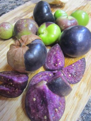 Tomatillo Purple 10+ Samen - Seeds - Graines - Exotisch und FEIN! So 025