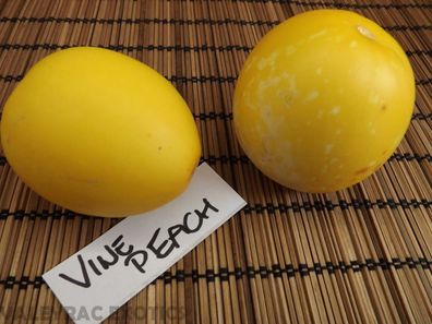 Vine Peach - Pfirsich Melone - Mango Melone - 10+ Samen - Ertragreich! Cm 013