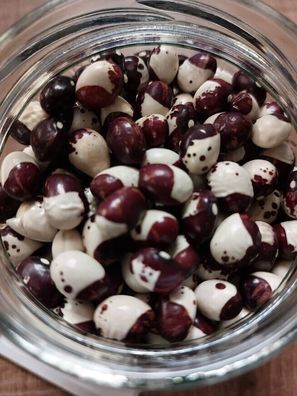Stangenbohne Annie Jackson - Tuscany pole beans 5+ Samen - Seeds H 133