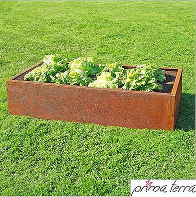 Hochbeet Edelrost, "Planus" 118 x 78 cm, Höhe: 35 cm