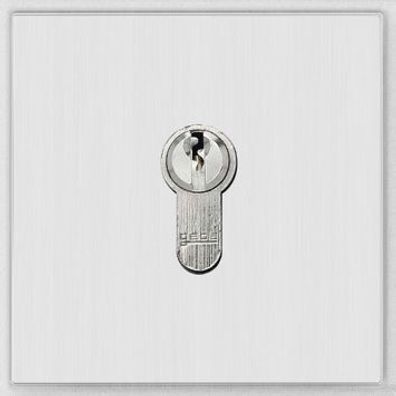 Behnke 20-2401 Modul Schlüsselschalter