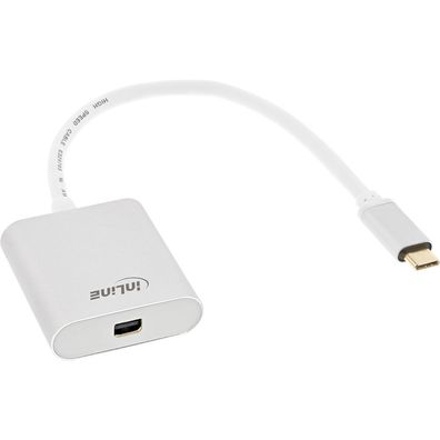 USB Display KonverterUSB Typ-C Stecker zu Mini DisplayPort Buchse (DP Alt Mode)4