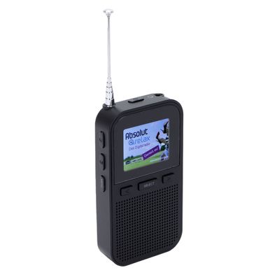 Denver Pocket DAB + / FM Radio mit Akku DAH-126