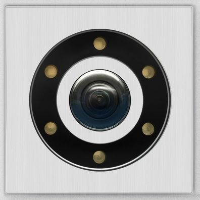 Behnke 20-2941-IP Modul Kamera (IP) f. waag. Mont. Alu
