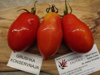 Rote Birne für Einkochen Tomate aus Russland -Tomato 5+ Samen - Seeds P 311