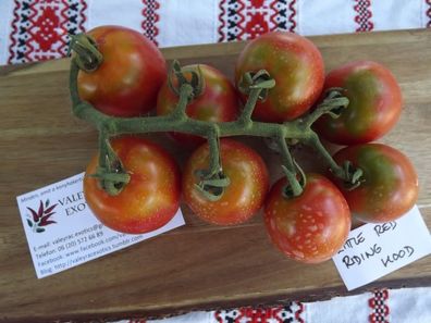 Rotkäppchen Tomate - Tomato 10+ Samen - Saatgut - Seeds - Gemüsesamen P 219