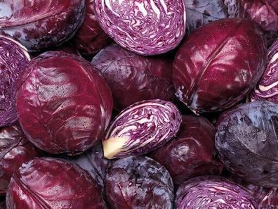 Rotkohl Roodkop - Cabeza Negra - Redhead Cabbage 100+ Samen - Seeds B 092